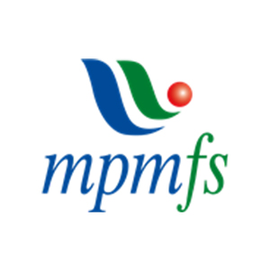 MPMFS AUDITS LTD