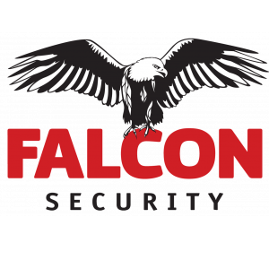 Falcon Security